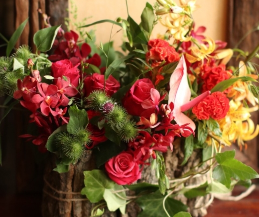editor_21_1_1_112724.jpg
