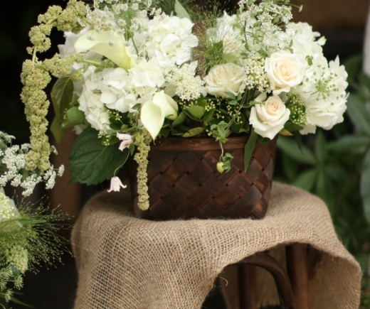 editor_22_2_2_112812.jpg