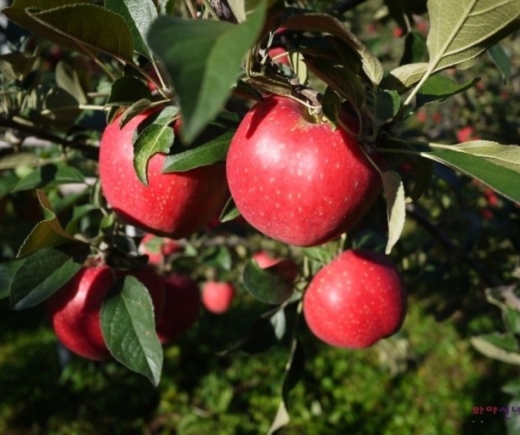 editor_31_2_2_114307.jpg